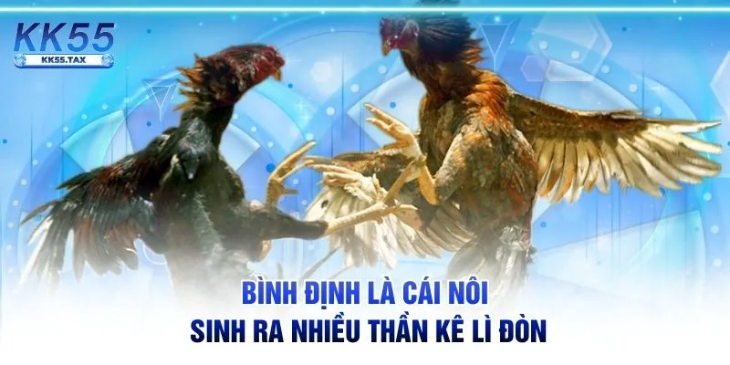 Bình Định là cái nôi sinh ra nhiều thần kê lì đòn